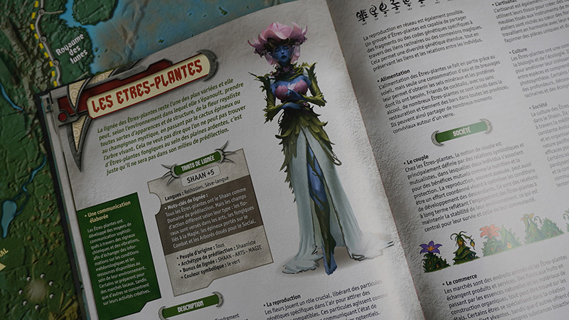 Chrysalis – Livre-jeu - Image 6